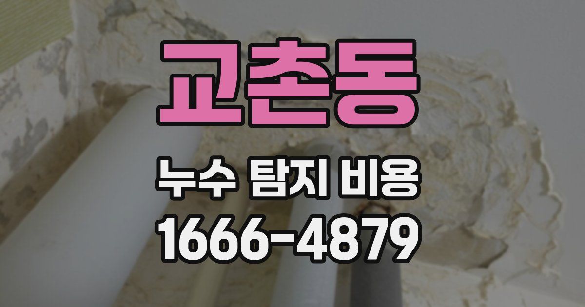 교촌동 누수 탐지 비용
