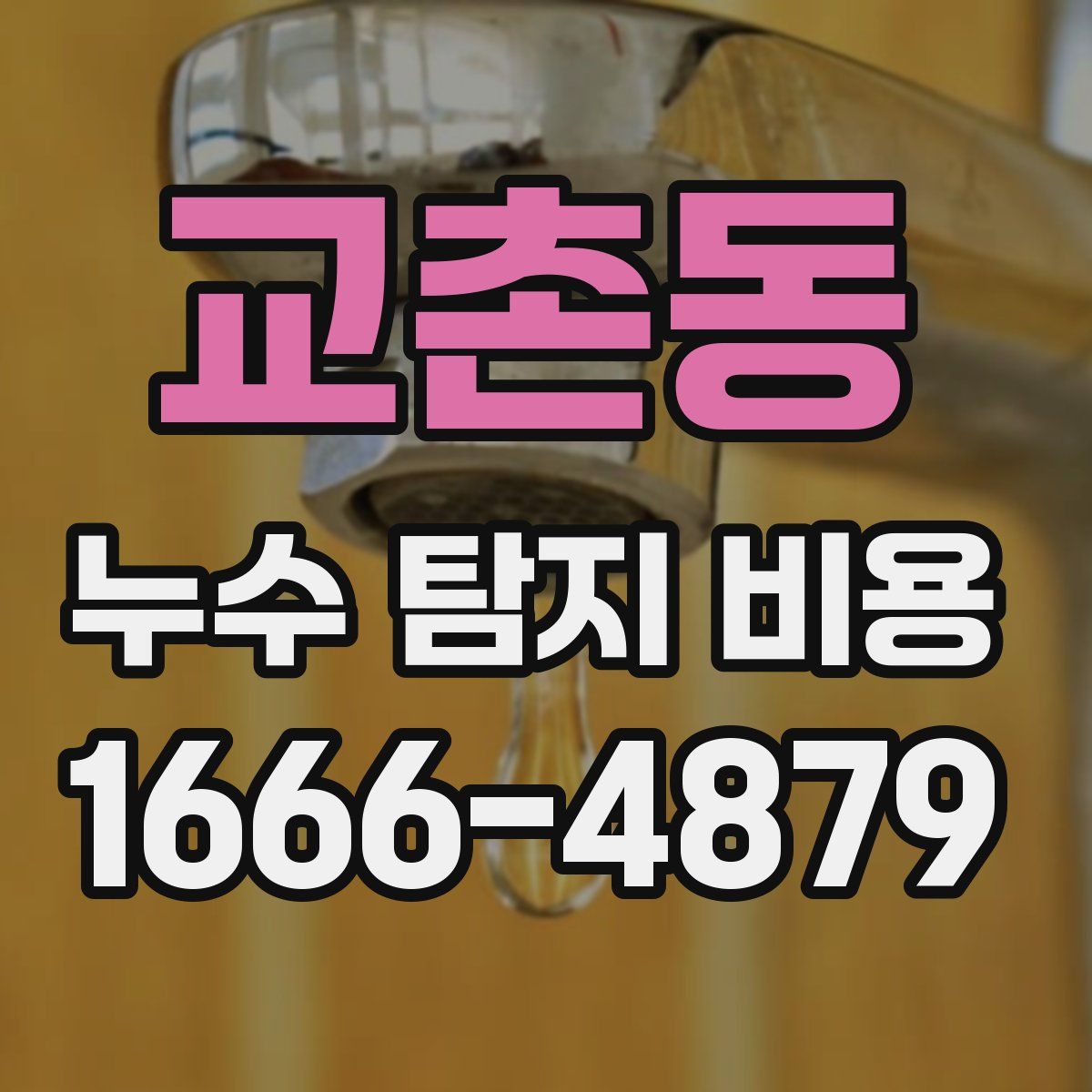 교촌동 누수 탐지 비용