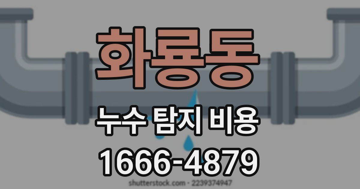 화룡동 누수 탐지 비용