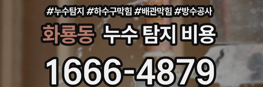 화룡동 누수 탐지 비용