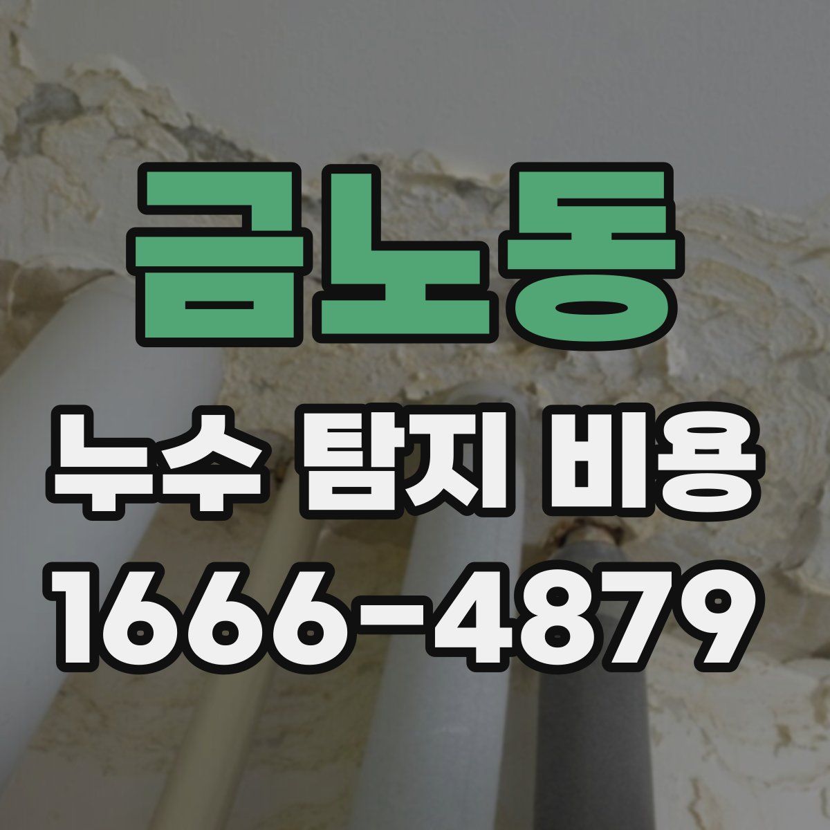 금노동 누수 탐지 비용