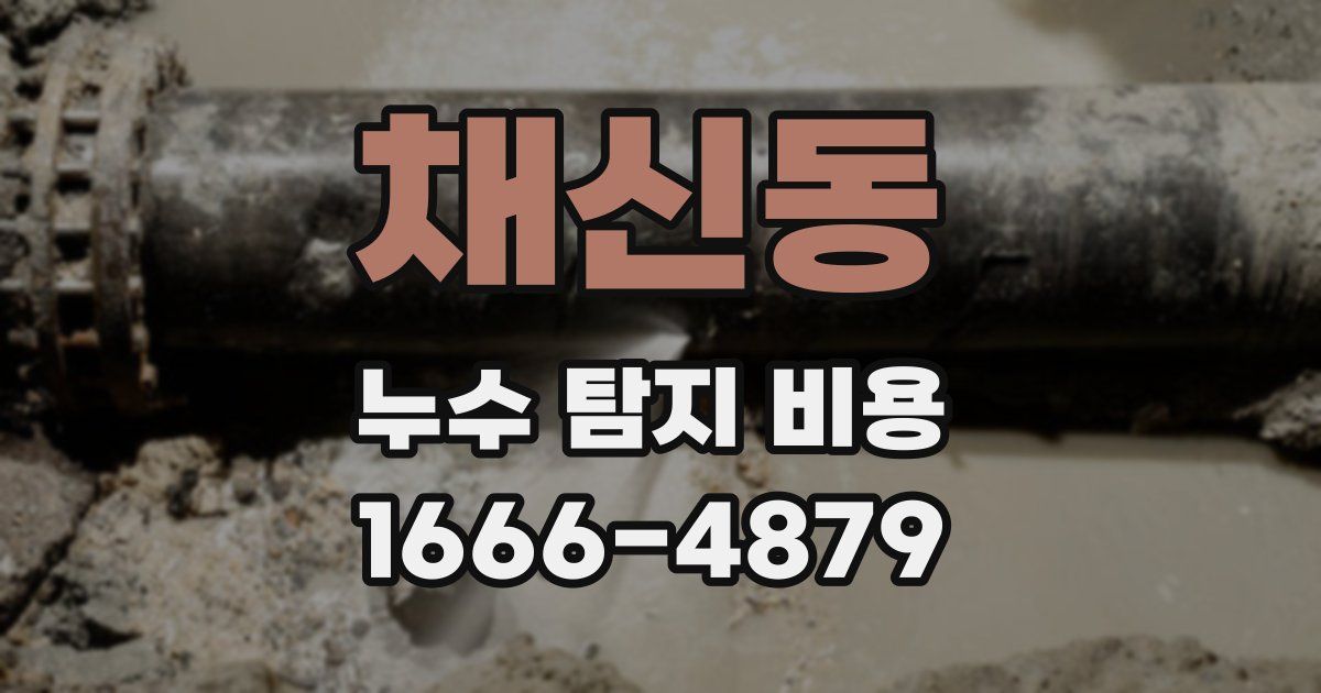 채신동 누수 탐지 비용