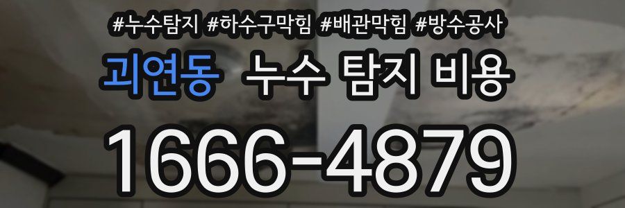 괴연동 누수 탐지 비용