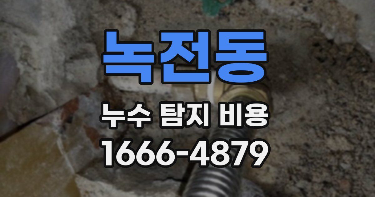 녹전동 누수 탐지 비용