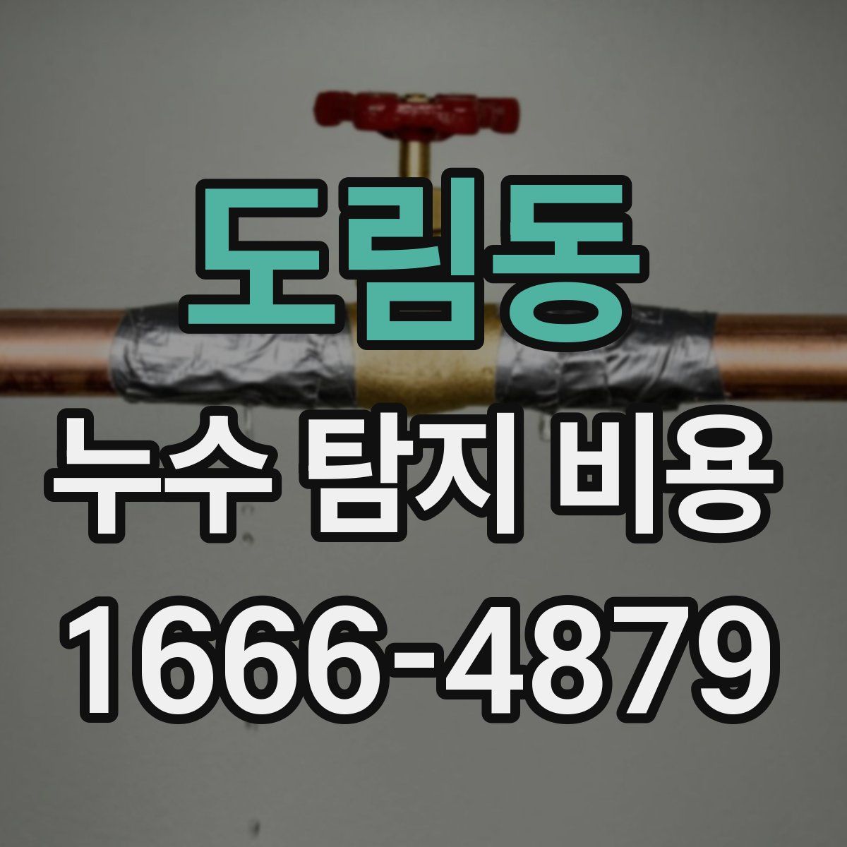 도림동 누수 탐지 비용