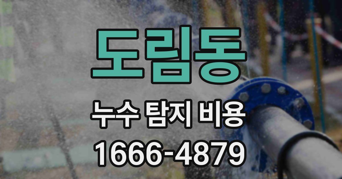 도림동 누수 탐지 비용