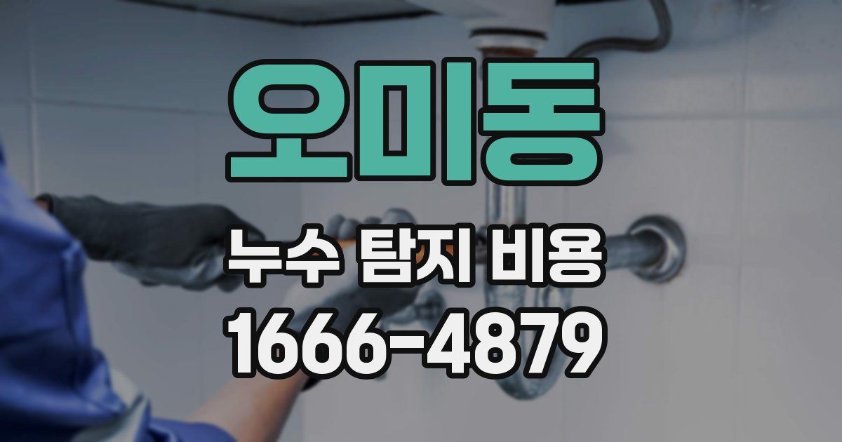 오미동 누수 탐지 비용