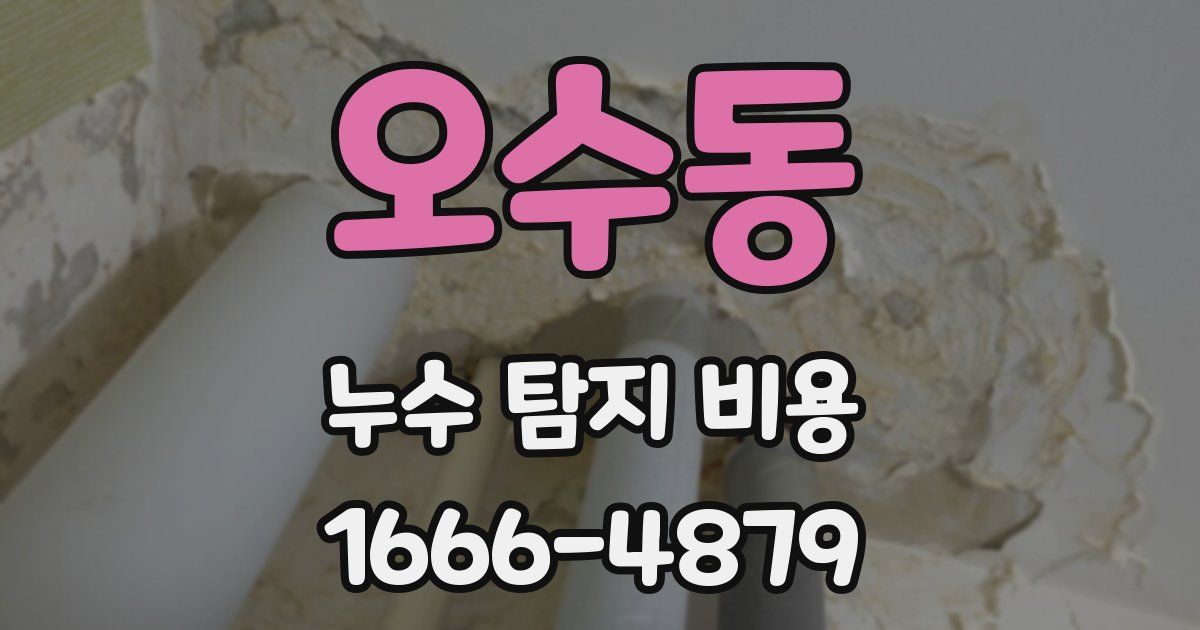 오수동 누수 탐지 비용