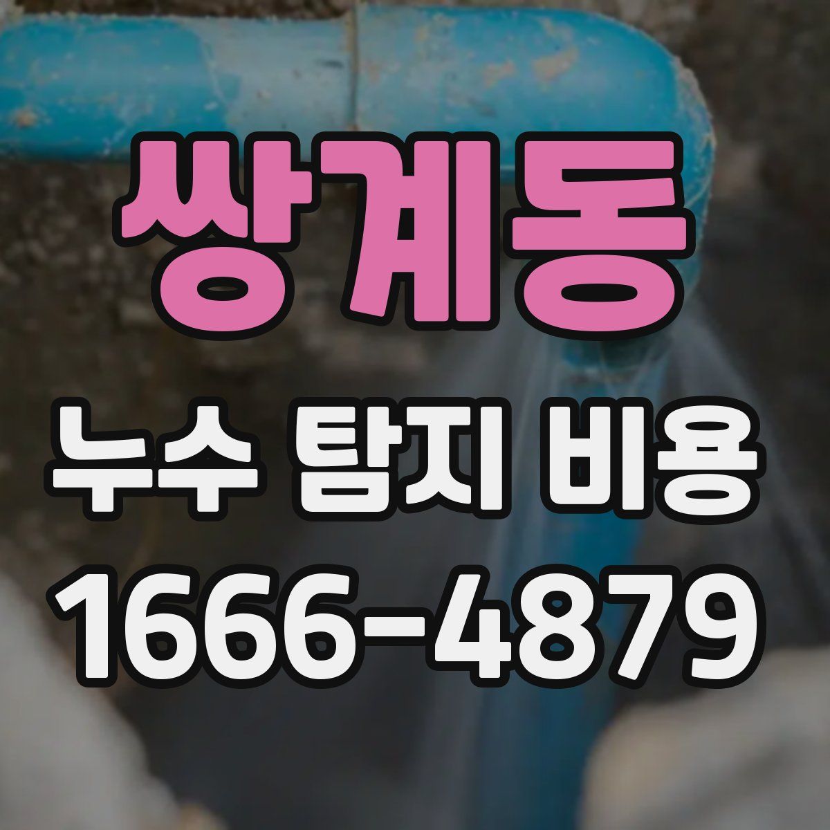 쌍계동 누수 탐지 비용