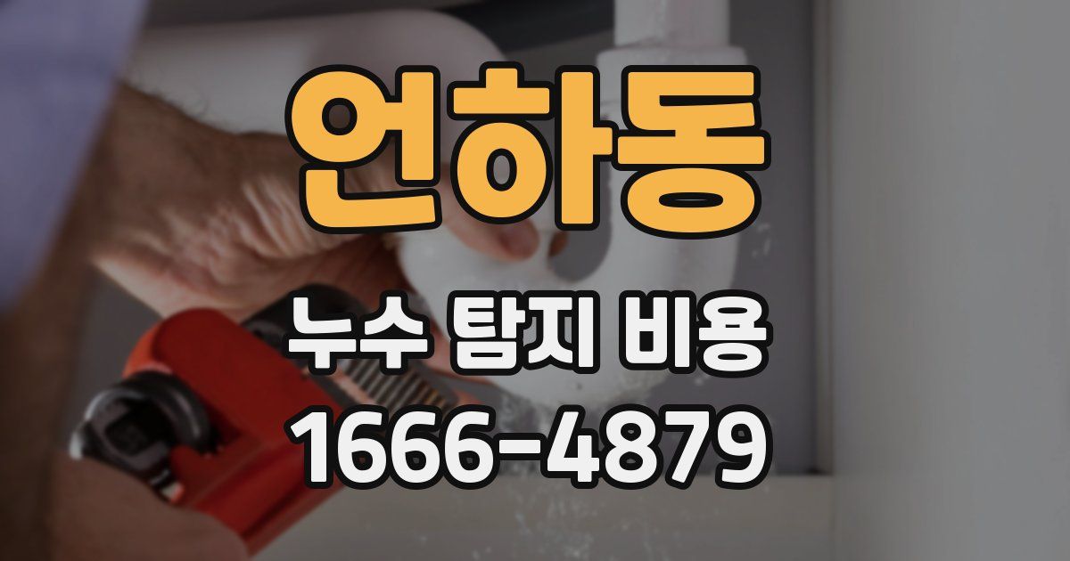 언하동 누수 탐지 비용
