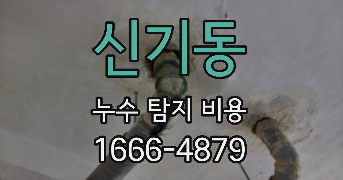신기동 누수 탐지 비용