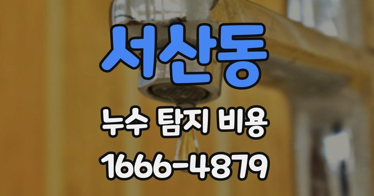 서산동 누수 탐지 비용