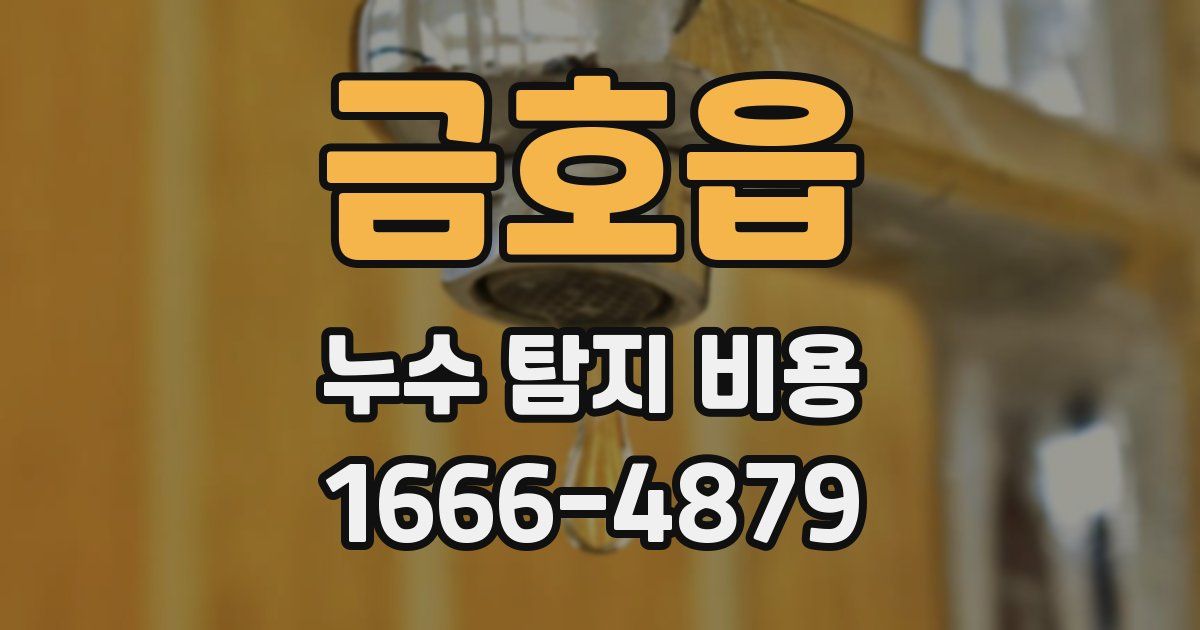 금호읍 누수 탐지 비용