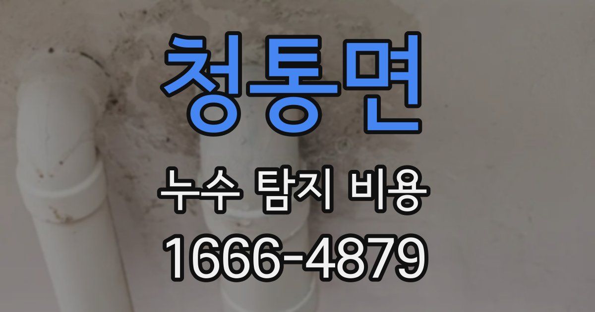 청통면 누수 탐지 비용