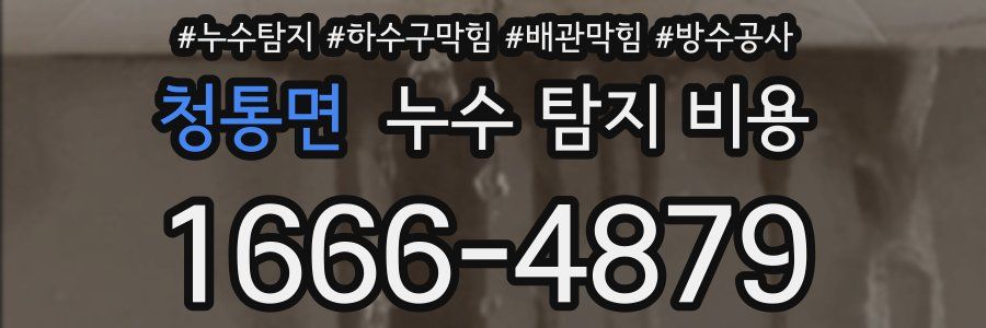 청통면 누수 탐지 비용