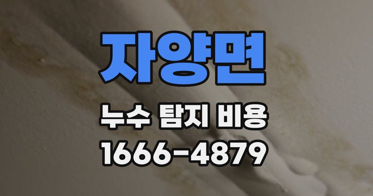 자양면 누수 탐지 비용