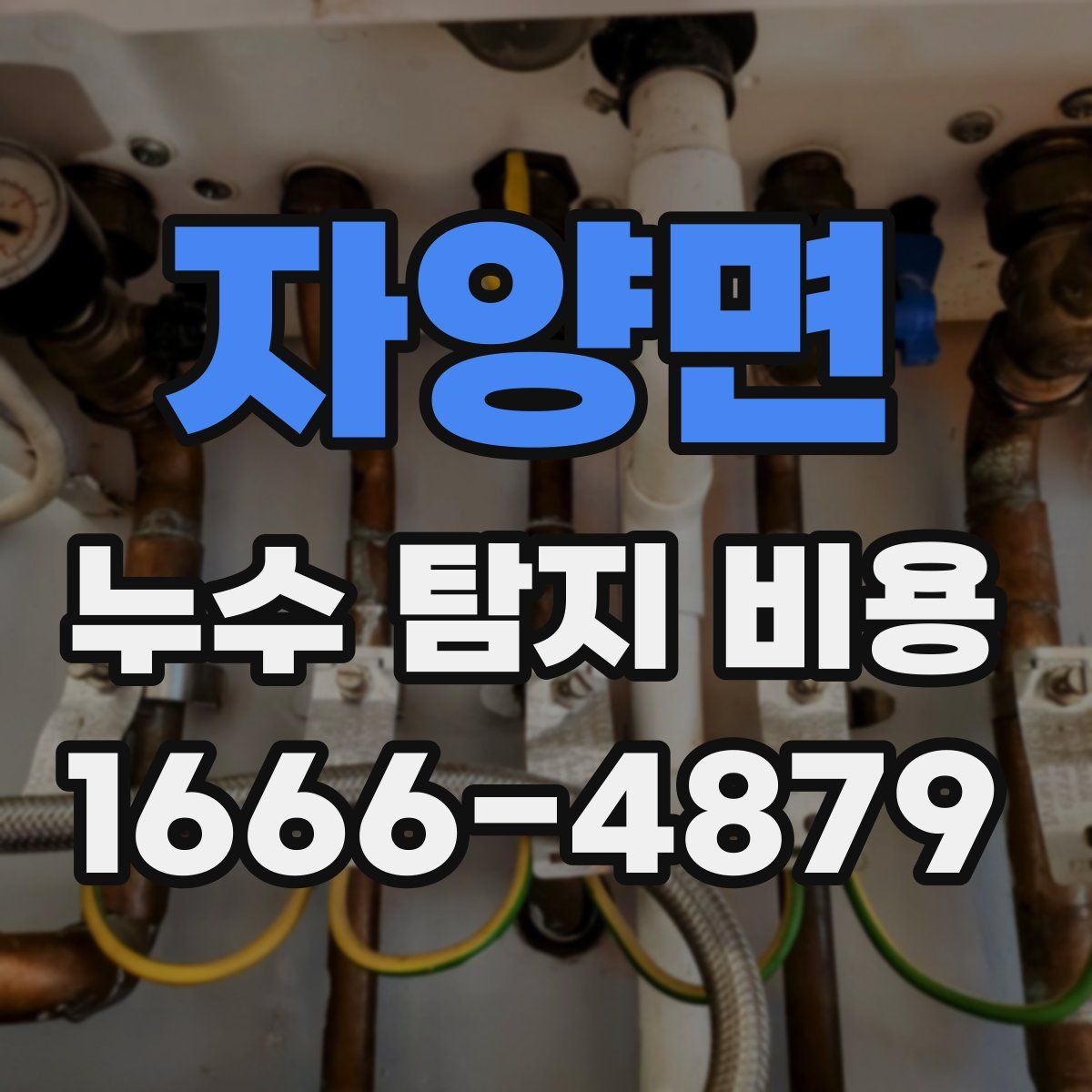 자양면 누수 탐지 비용