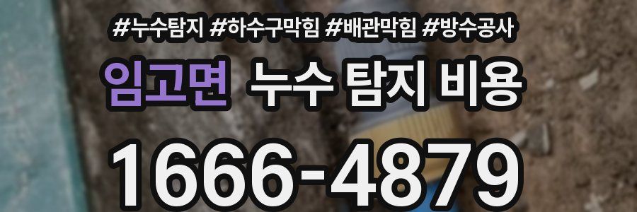 임고면 누수 탐지 비용
