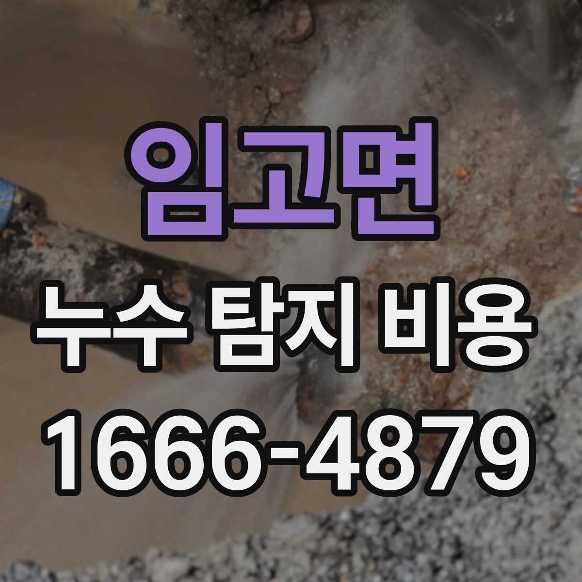 임고면 누수 탐지 비용