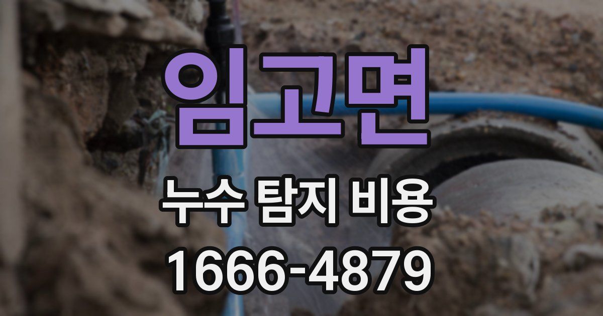 임고면 누수 탐지 비용