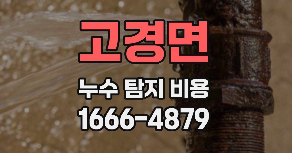 고경면 누수 탐지 비용