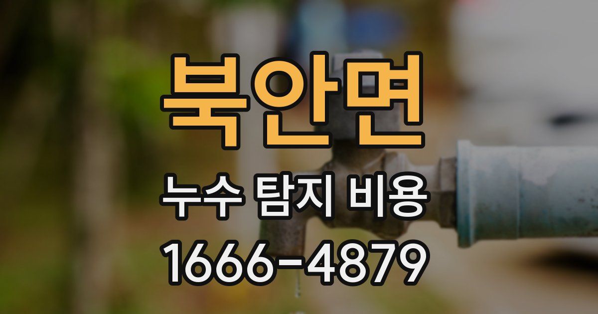 북안면 누수 탐지 비용