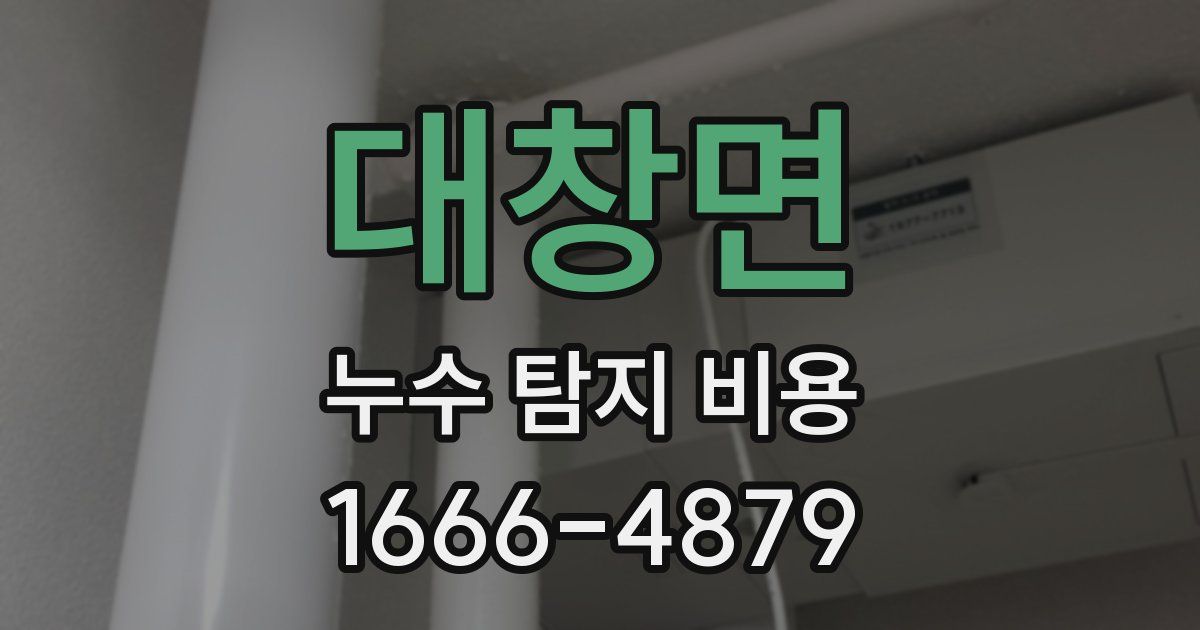 대창면 누수 탐지 비용