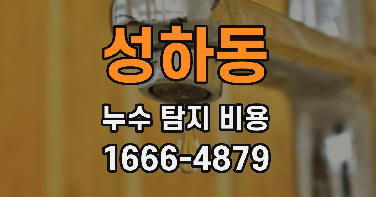 성하동 누수 탐지 비용