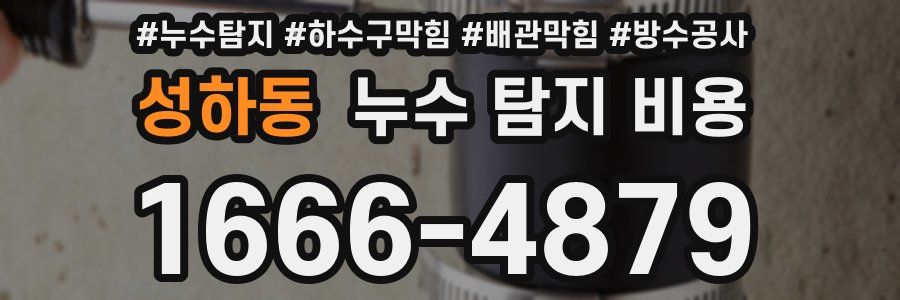 성하동 누수 탐지 비용