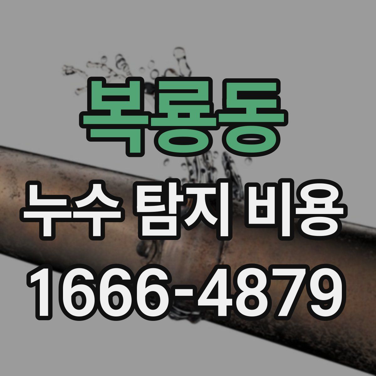복룡동 누수 탐지 비용