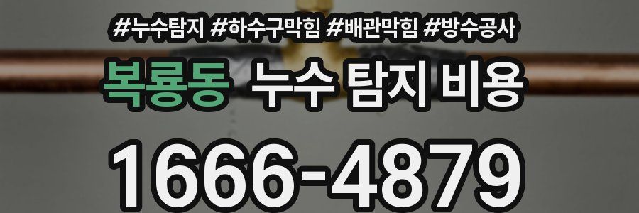 복룡동 누수 탐지 비용