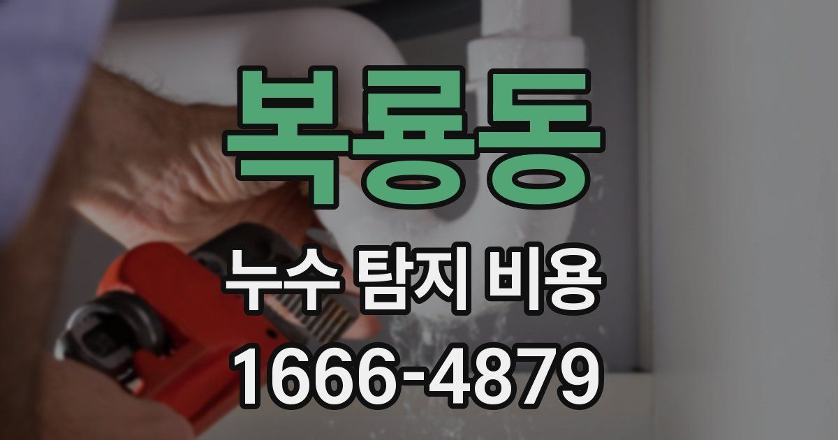 복룡동 누수 탐지 비용