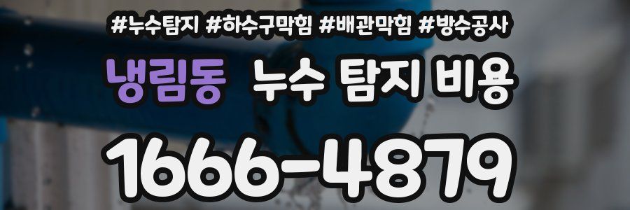 냉림동 누수 탐지 비용