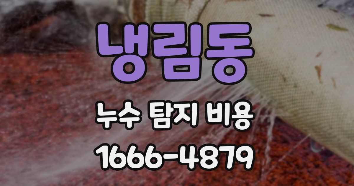 냉림동 누수 탐지 비용