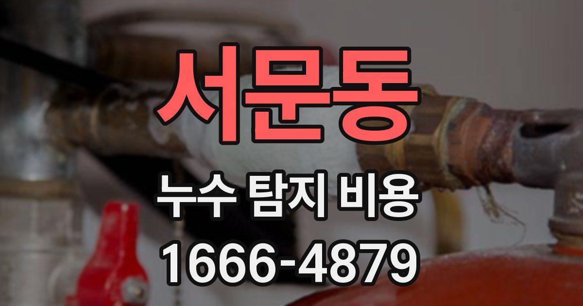 서문동 누수 탐지 비용