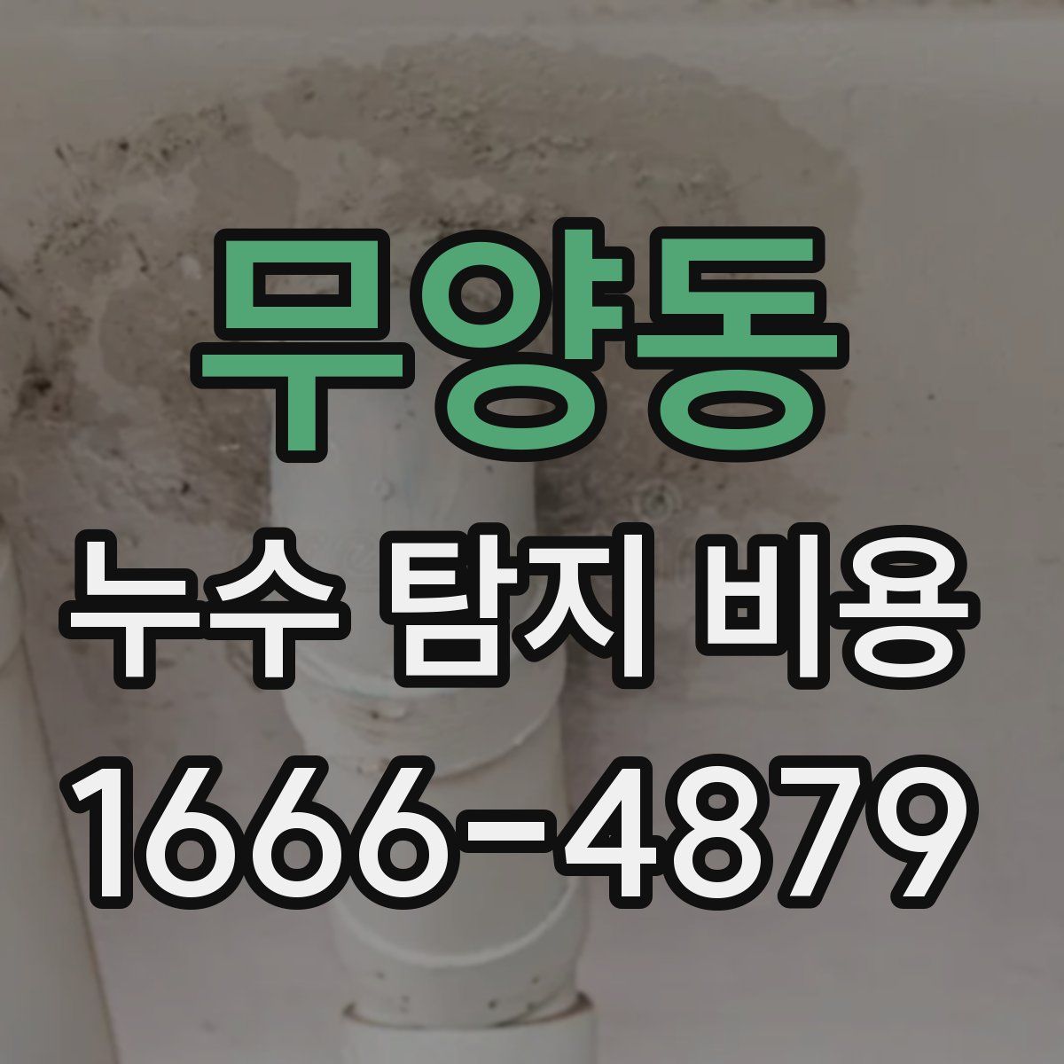 무양동 누수 탐지 비용