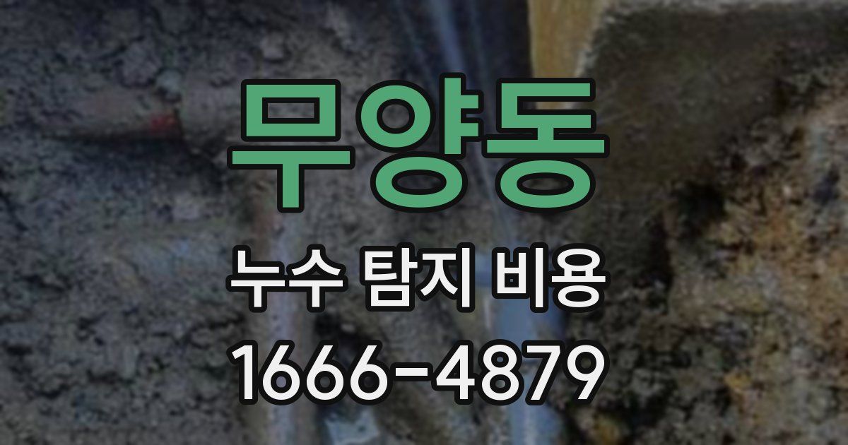 무양동 누수 탐지 비용