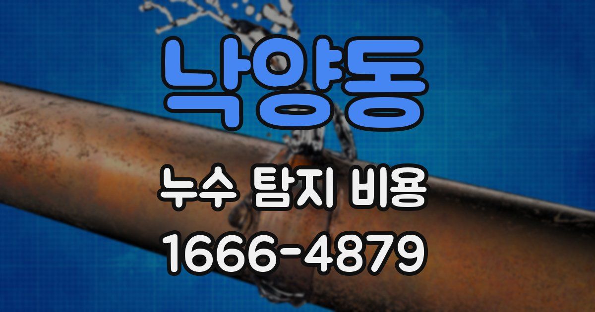 낙양동 누수 탐지 비용