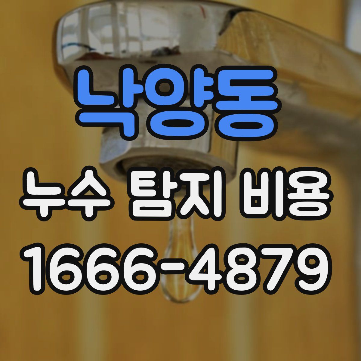낙양동 누수 탐지 비용