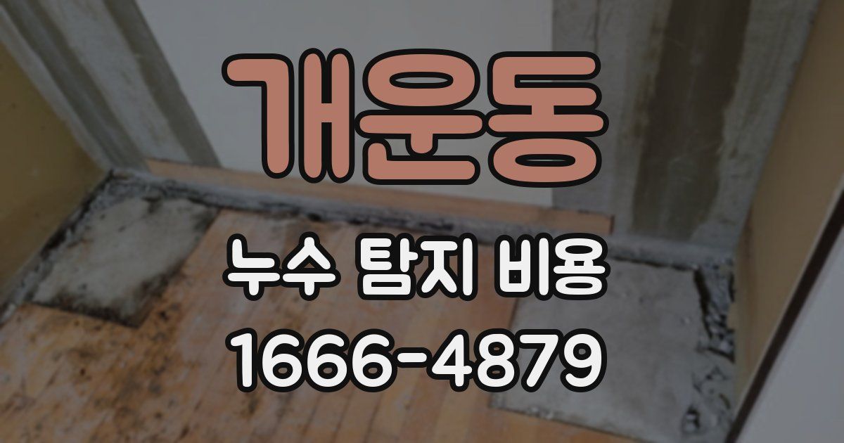 개운동 누수 탐지 비용