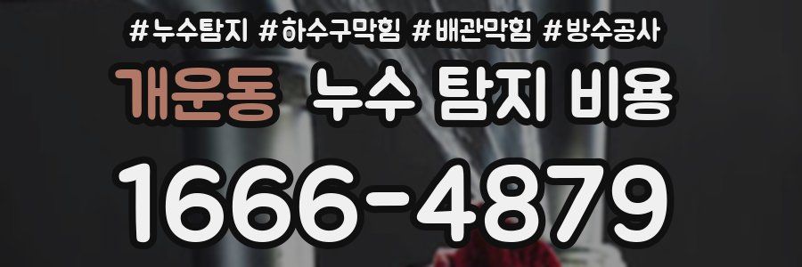 개운동 누수 탐지 비용