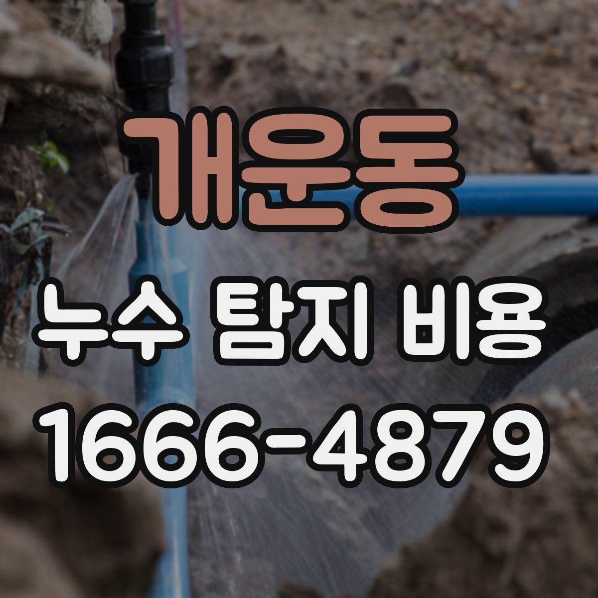 개운동 누수 탐지 비용