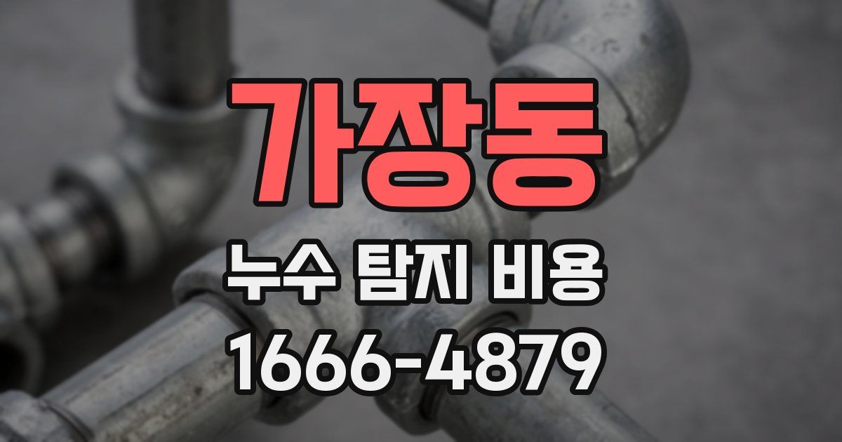 가장동 누수 탐지 비용