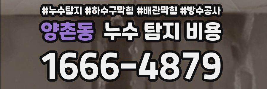 양촌동 누수 탐지 비용