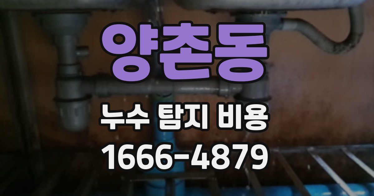 양촌동 누수 탐지 비용