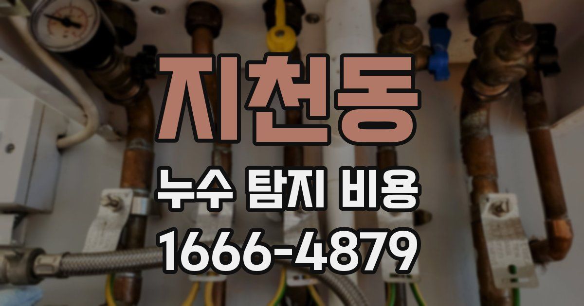 지천동 누수 탐지 비용