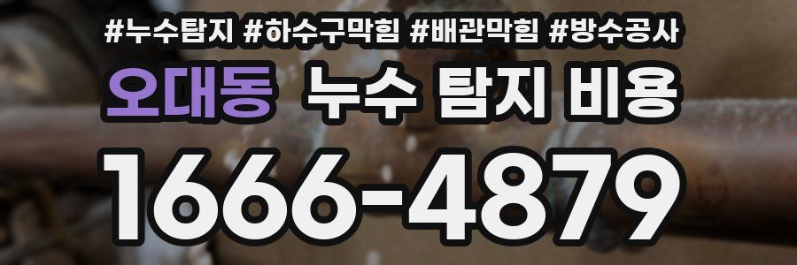 오대동 누수 탐지 비용