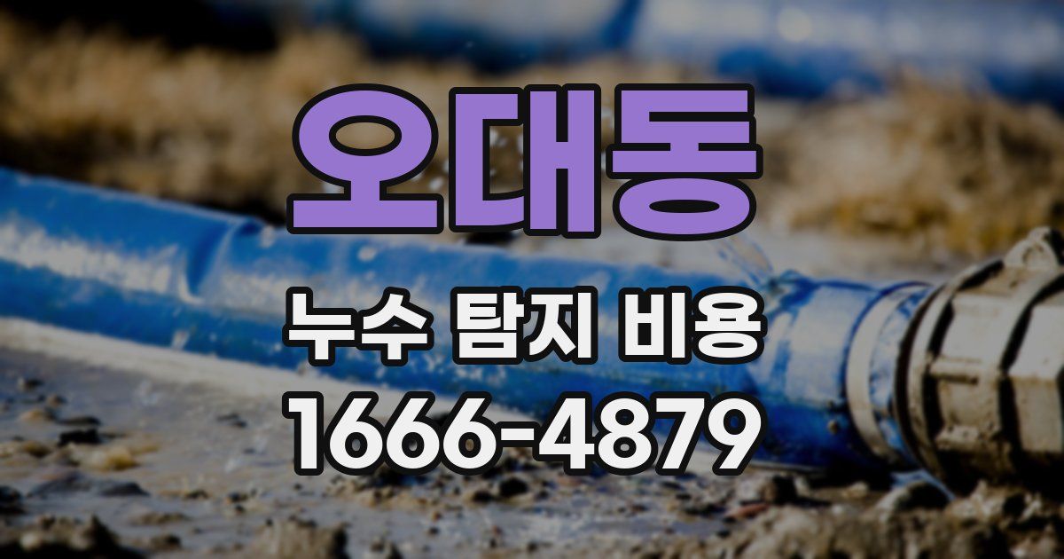 오대동 누수 탐지 비용