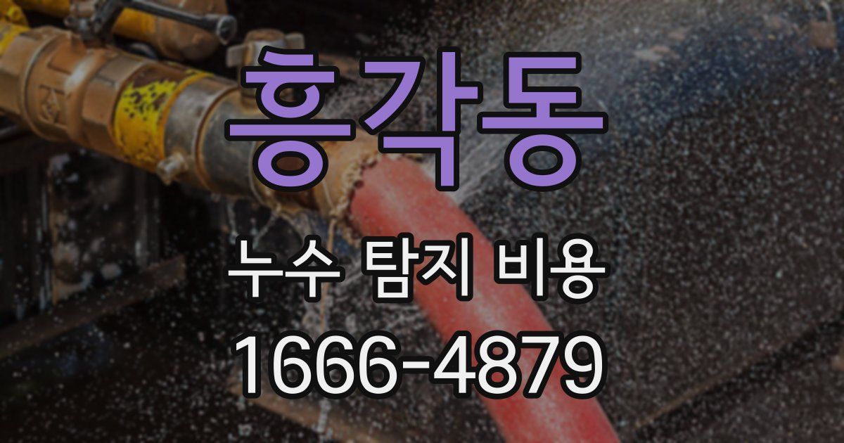 흥각동 누수 탐지 비용