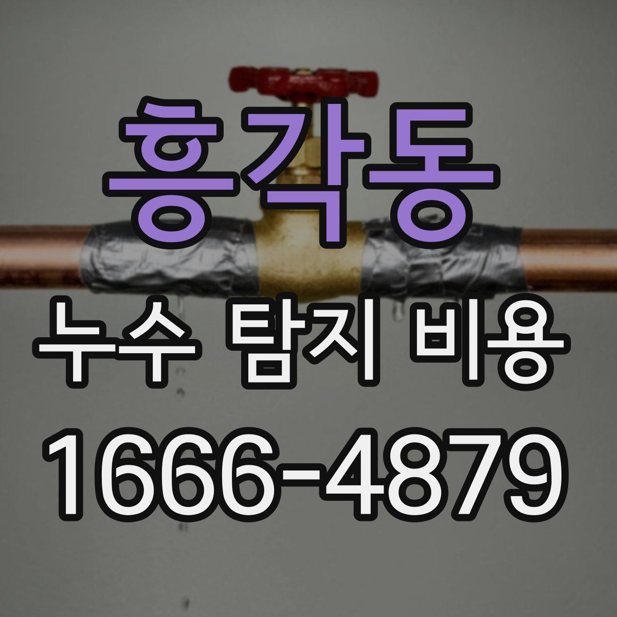 흥각동 누수 탐지 비용